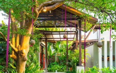 How To Keep Weeds Out Of Your Yard