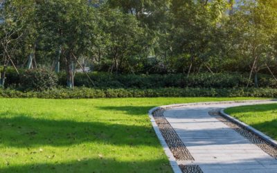 How To Keep Weeds Out Of Your Yard